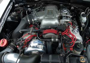 ATI/Procharger - Ford Mustang Procharger 1996-98 Cobra (4.6 4V)  - Stage II P1SC