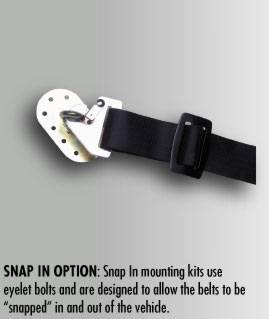Snap In Option
