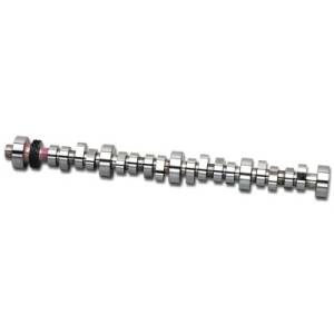 Camshafts - Trick Flow Specialties Camshafts - Trickflow - TFS Stage 1 Camshaft SBF Ford