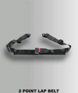2 Point Lap Belt