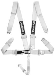 Silver Latch & Link