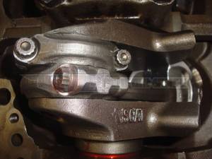 Ford 331/347 Performance Short Block