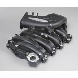Air Induction - Trick Flow Specialties Intake Manifolds - Trickflow - Trick Flow Track Heat Intake Manifolds for Ford 4.6L 2V