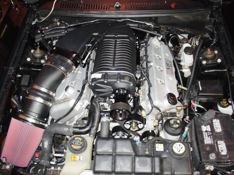 Whipple Ford Mustang SVT Cobra 4.6L 2003-2004 Supercharger ... 2v 4 6l mustang engine diagram 