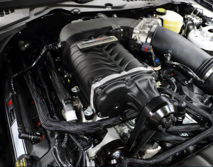 Roush Superchargers - Ford Mustang GT 5.0L 2015-2017 Roush Phase 2 Supercharger Intercooled Kit