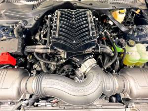 Whipple Superchargers - Whipple Ford Mustang GT/DH 5.0L 2024+ Gen 6 3.0L Supercharger Intercooled Complete Stage 1 Kit 