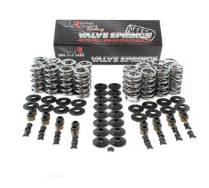 Brian Tooley Racing - BTR LS Dual Platinum Valve Spring Kit - .660 Lift