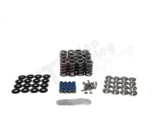 Brian Tooley Racing - BTR Gen V LT1 Dual Platinum Valve Spring Kit w/ Titanium Retainers - .660 Lift
