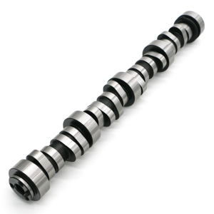 Texas Speed - Texas Speed Stage 2 OnDGas LS Camshaft