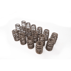 Texas Speed - Texas Speed LS Beehive Valve Springs - .625 Lift