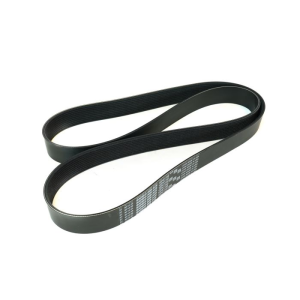 ATI/ProCharger Parts - ATI / ProCharger 10-Rib Serpentine Belt