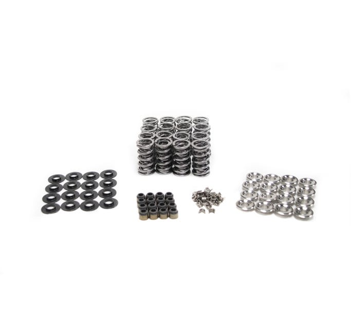 Brian Tooley Racing - BTR LS9 Dual Platinum Valve Spring Kit - .660 Lift - Image 1