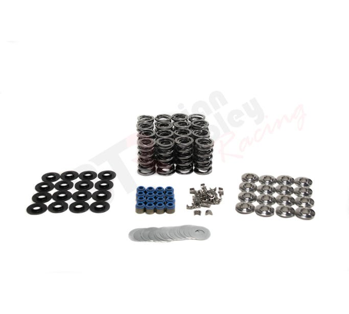 Brian Tooley Racing - BTR Gen V LT1 Dual Platinum Valve Spring Kit w/ Titanium Retainers - .660 Lift - Image 1