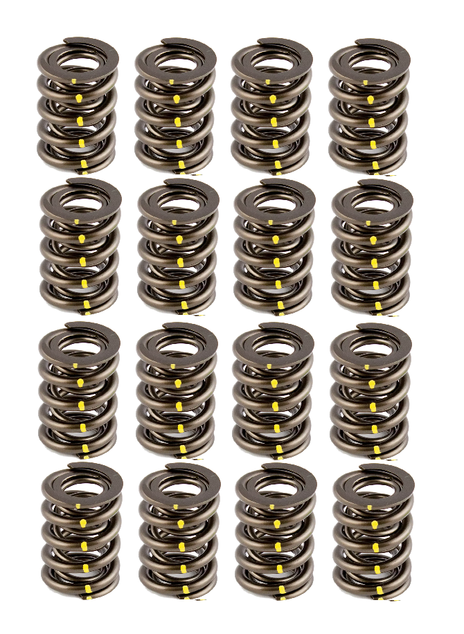 Texas Speed - AFR 1.550" OD Solid Roller Valve Spring Set - .800 Lift - Image 1