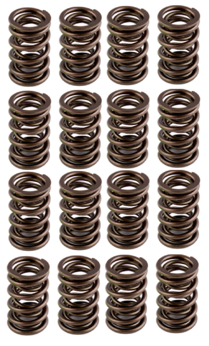 Texas Speed - AFR 1.290" OD Hydraulic Roller Valve Spring Set - .600 Lift - Image 1