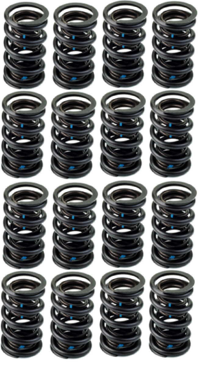 Texas Speed - AFR 1.437" OD Hydraulic Flat Tappet Valve Spring Set - .550 Lift - Image 1