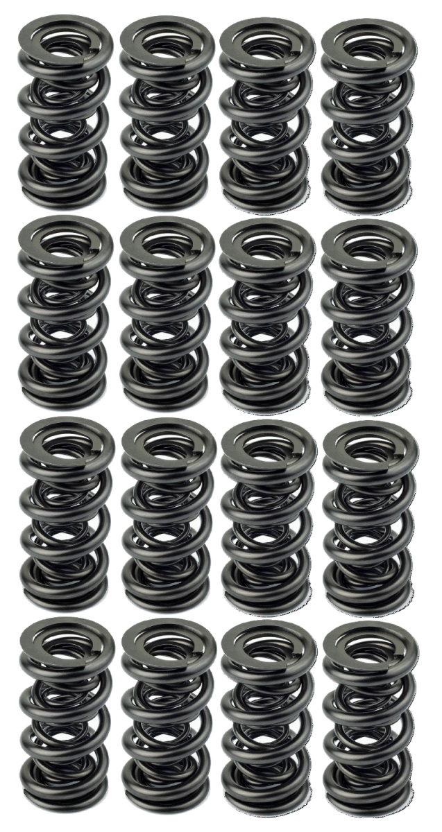 Texas Speed - AFR 1.640" OD Solid Roller Valve Spring Set - .840 Lift - Image 1