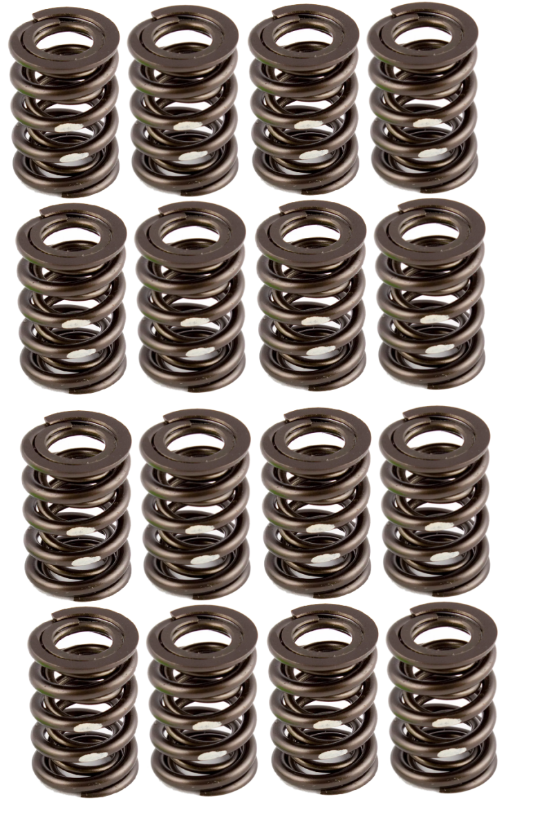 Texas Speed - AFR 1.580" OD Solid Roller Valve Spring Set - .730 Lift - Image 1