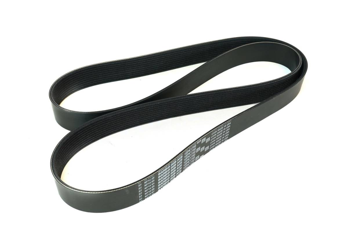 ATI/ProCharger Parts - ATI / ProCharger 10-Rib Serpentine Belt - Image 1