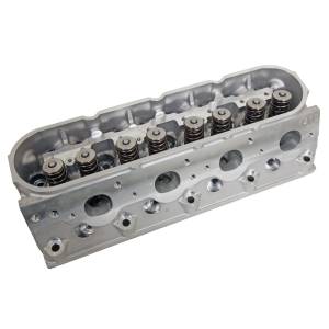TFS Cylinder Heads - Small Block Chevy - GenX Street/Strip Cylinder Heads for GM LSX - Trickflow - Trickflow GenX® Cylinder Heads, GM LS 4.8L/5.3L/5.7L, 205cc Intake, Chromoly Retainers