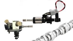 Lingenfelter High Flow Direct Injection Injectors, Pump & Camshaft Kit for GM LT1/LT4 V8