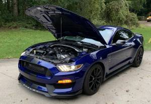 Customer Rides - TREperformance - Ford Mustang Shelby GT350 2016 5.2L - Procharger P-1X Supercharger