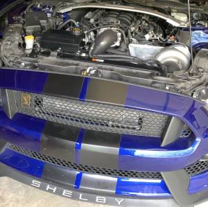 TREperformance - Ford Mustang Shelby GT350 2016 5.2L - Procharger P-1X Supercharger - Image 4