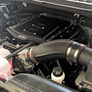 Edelbrock - Ford F-150 Coyote 5.0L 2019-2020 Edelbrock Stage 1 Complete Supercharger Intercooled Kit With Tune - Image 3
