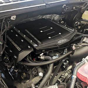 Edelbrock - Ford F-150 Coyote 5.0L 2019-2020 Edelbrock Stage 1 Complete Supercharger Intercooled Kit Without Tune - Image 2
