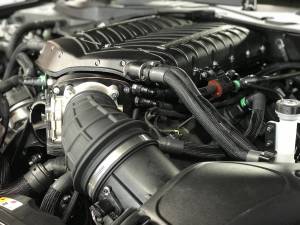 Whipple Superchargers - Whipple Ford Mustang Bullitt 2019-2021 Gen 5 3.0L Supercharger Intercooled Complete Stage 1 Kit - Image 2