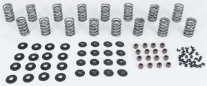 Trickflow - Trick Flow Double Platinum 0.660 LS Dual Valve Springs & Chromoly Retainers - Image 4