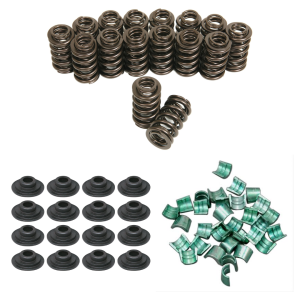 Trick Flow TrackMax Performance Valve Spring Upgrade Kit, Chromoly Retainers, 391lbs Spring