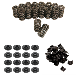 Trick Flow TrackMax Performance Valve Spring Upgrade Kit, Chromoly Retainers, 550lbs Spring