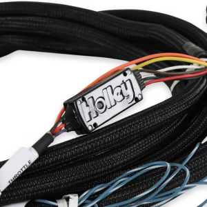 Holley - Holley 2018-202 Ford Drive-By-Wire Harness For Terminator X Max - Image 2