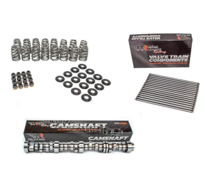 BTR LS Truck Hoss 400ci+ Stroker Camshaft W/ Valve Train Components For LS Trucks - Square Port