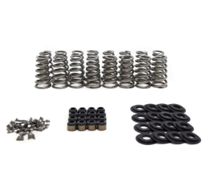 BTR Gen V LT4 Conical Valve Spring Kit - .650 Lift