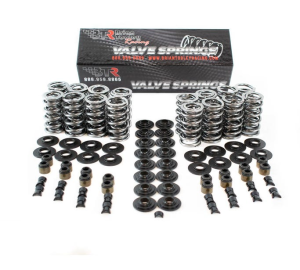 BTR Gen III/IV LS Dual Platinum Valve Spring Kit - .660 Lift