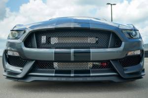 ProCharger 2015-20 Mustang GT350 Intercooler