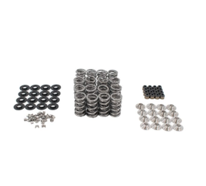 BTR LS9 Dual Platinum Valve Spring Kit w/ Titanium Retainers - .685 Lift