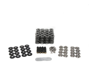 BTR Gen V LT4 Dual Platinum Valve Spring Kit w/ Titanium Retainers - .660 Lift