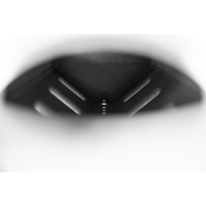 Texas Speed - Texas Speed Titan SR-3 LS1/LS2/LS3 102mm Cast Short Runner Intake Manifold - Cathedral Port - Image 4