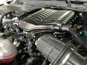 Whipple Superchargers - Whipple Ford Mustang GT 5.0L 2015-2017 Gen 6 3.0L Supercharger Intercooled Tuner Stage 2 Kit - Image 2