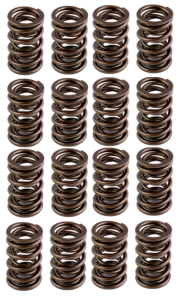 AFR 1.290" OD Hydraulic Roller Valve Spring Set - .600 Lift