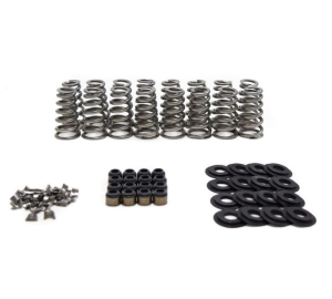BTR Gen V LT Conical Valve Spring Kit - .650 Lift (For Bronze Guides)