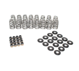 BTR Beehive Valve Spring Kit - .625 Lift (For .540 Valve Guides)