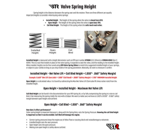 Brian Tooley Racing - BTR Beehive Valve Spring Kit - .625 Lift (For .565 Valve Guides) - Image 2