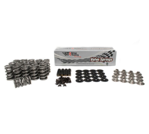 BTR Solid Roller Valve Spring Kit - .700 Lift - Powder Metal Guides