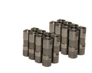 Brian Tooley Racing - BTR Delphi-Style LS7 Hydraulic Roller Lifters - Image 2