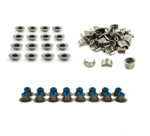 Gen V 5.3L/6.2L LT Cylinder Head Rebuild Kit for BTR .550 Conical Valve Springs and Factory Gen V LT Valve Springs