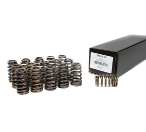 BTR Gen III Drop-In 2009+ 5.7L Hemi Beehive Valve Spring Set - .625 Lift